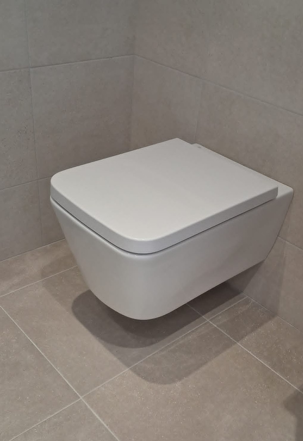 Wall Hung Pan