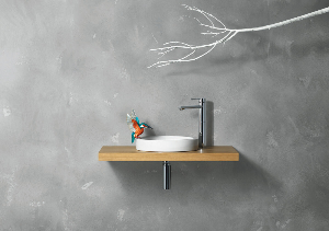 basin_bird2